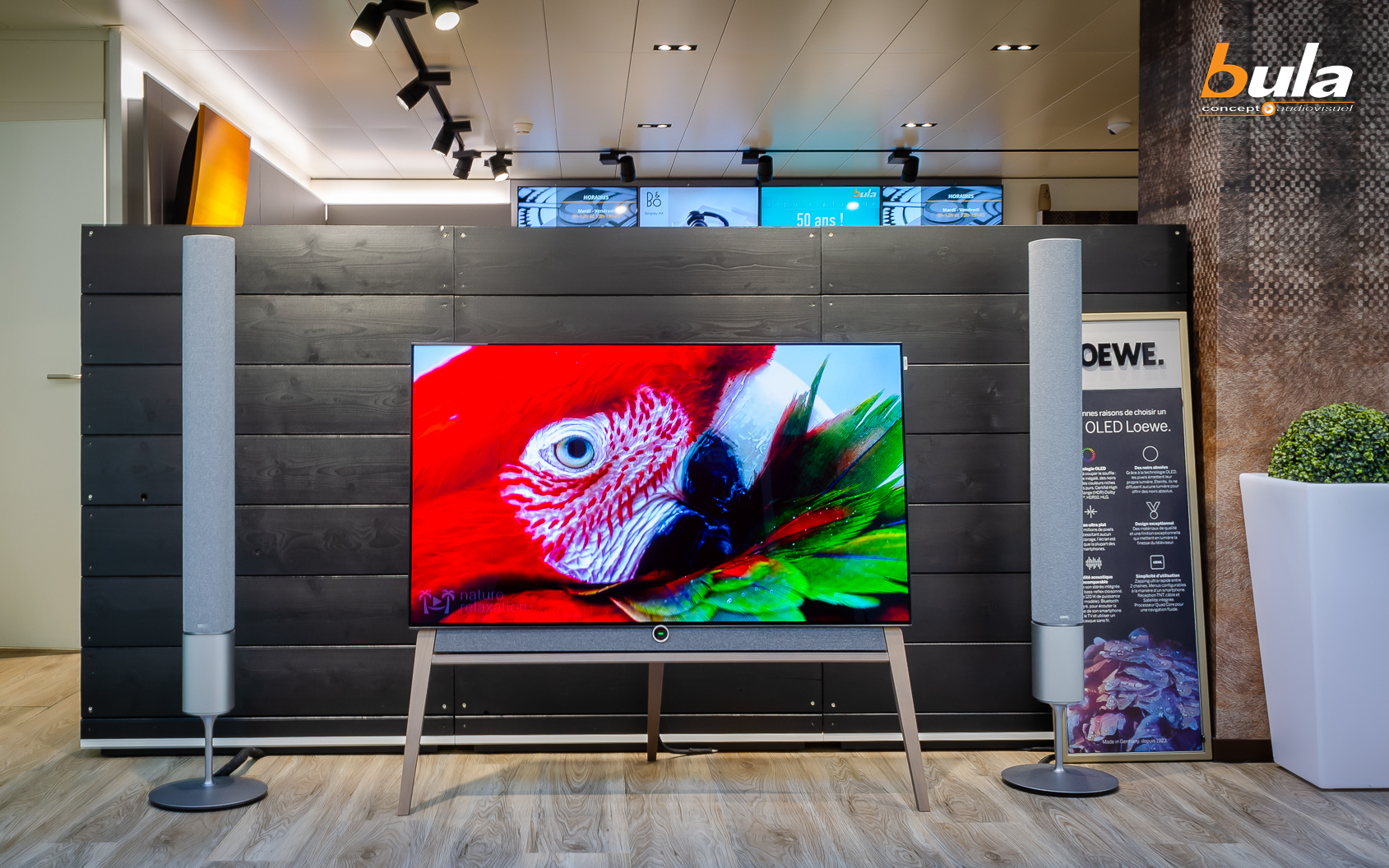 Téléviseurs Loewe exposés au showroom d'Epalinges